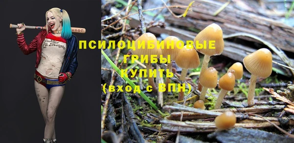 ПСИЛОЦИБИНОВЫЕ ГРИБЫ Алексин
