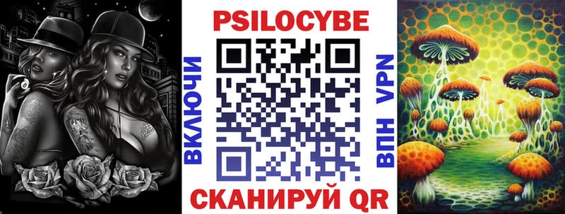 Псилоцибиновые грибы Cubensis  Почеп 