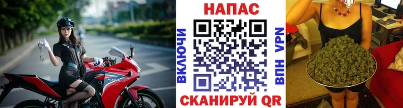 даркнет наркотические препараты  Почеп  Бошки марихуана SATIVA & INDICA 